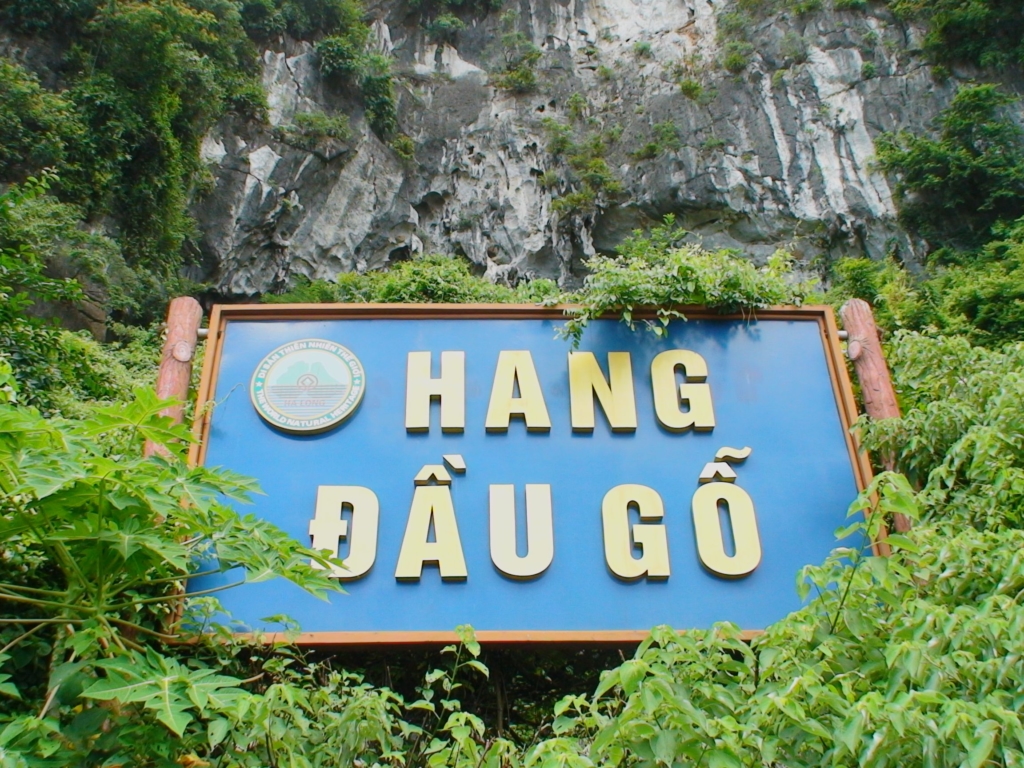 hang-dau-go-1
